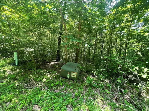 21 Gilchrist Ave, Tornado, WV 25202