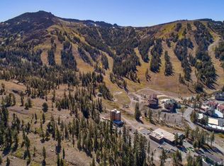 1521 Kirkwood Meadows Dr, Markleeville, CA 96120