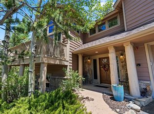 515 Pemmican Ct, Frisco, CO 80443