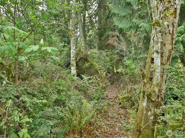 0 XXX Goss Lake Road, Langley, WA 98260