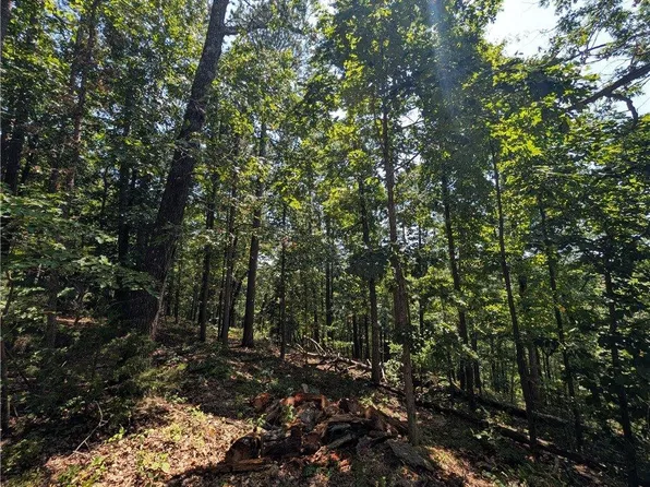Canyon Village Rd, Rogers, AR 72756