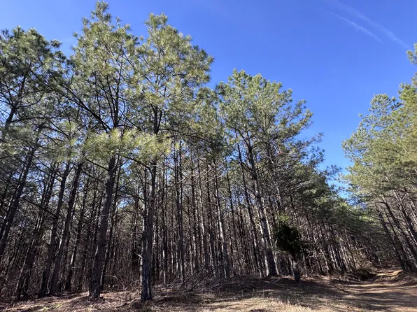 432 Liberty Ridge Rd, Hohenwald, TN 38462