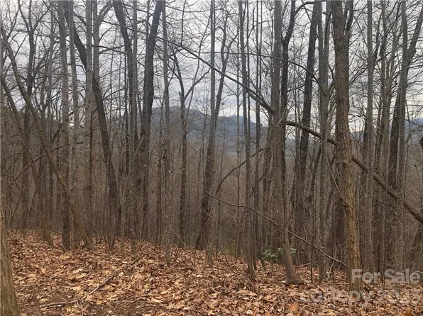 141 Tranquility Rdg, Lake Lure, NC 28746