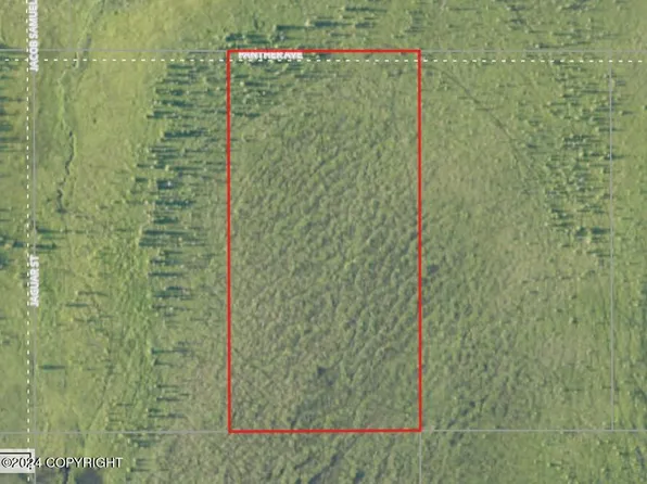 67157 Panther Ave, Anchor Pt, AK 99556