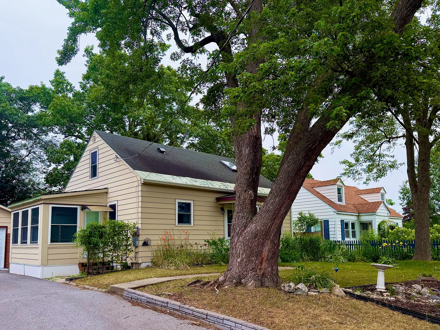 72 Loaldo — Photo 2