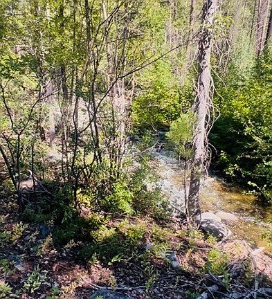 3rd image of 0 E Buttermilk Creek Road