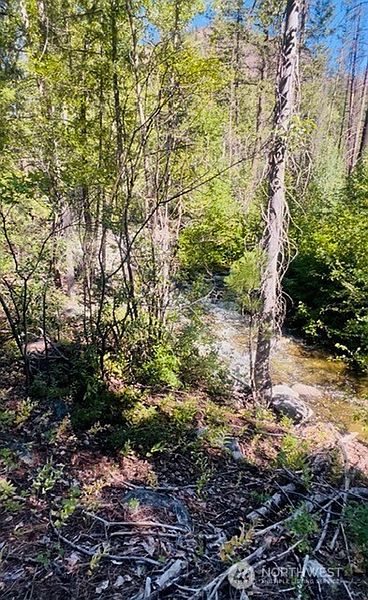 3rd image of 0 E Buttermilk Creek Road