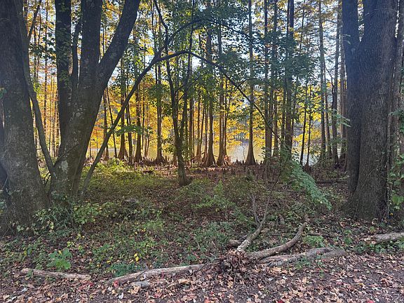 4th image of 2386 N Shore Rd