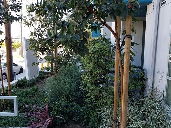 5th image of 10840 Bloomfield St #206