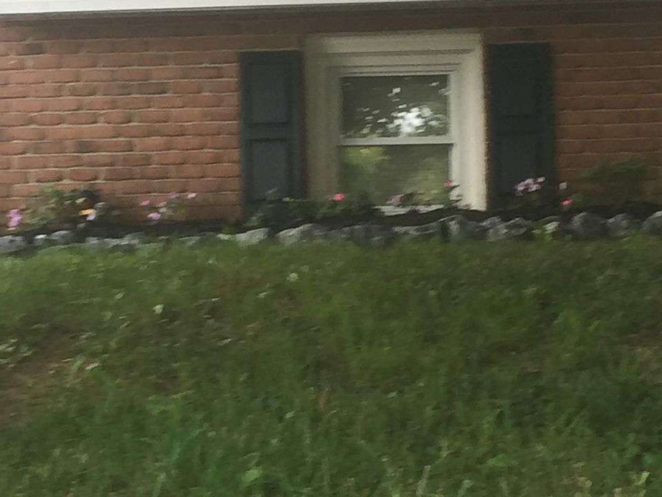 2nd image of 3163 Thistle Dr