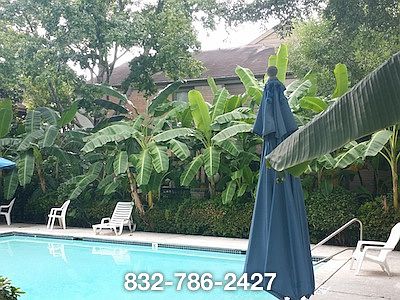 5th image of 10049 Westpark Dr APT 137