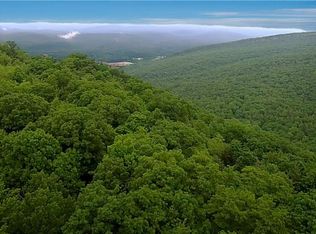 Mount View Dr, Wawarsing, NY 12428