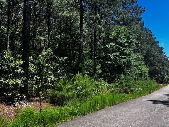 4th image of 83 Pleasant Cypress Trl Lot 4