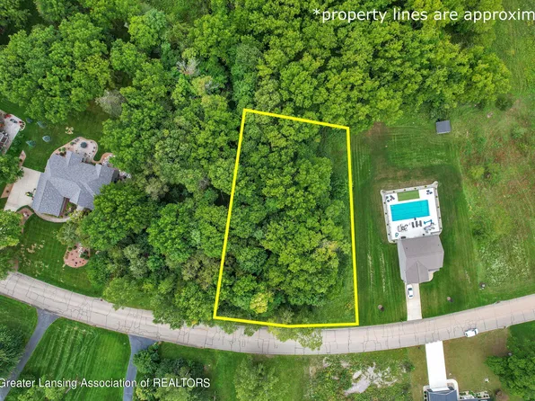 36 Cedar Ridge Dr, Portland, MI 48875