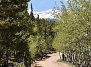 97 Saint Vrain Trl, Ward, CO 80481