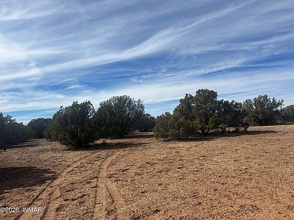 2nd image of 8526 Lake Ridge Rd