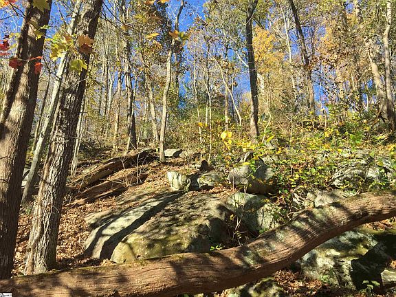 5th image of 19 Grosbeak Way