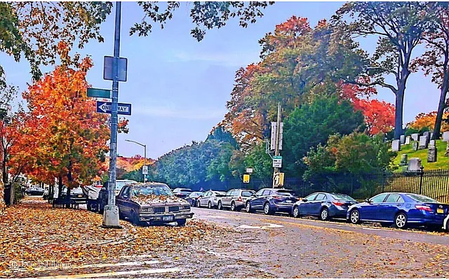 Rented by Douglas Elliman | media 27