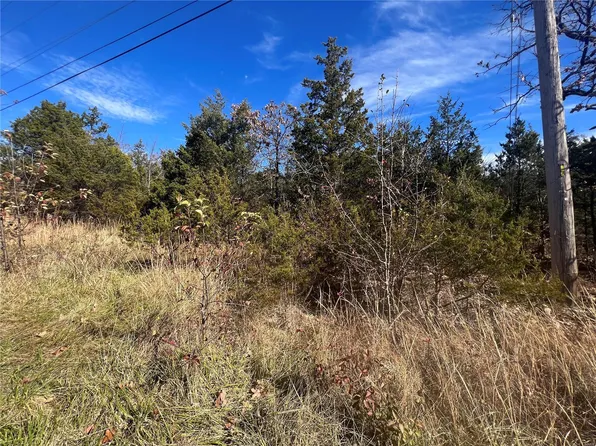 0 Napoleon Dr, Bonne Terre, MO 63628
