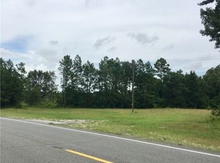 5 Acres Hwy #17, Townsend, GA 31331