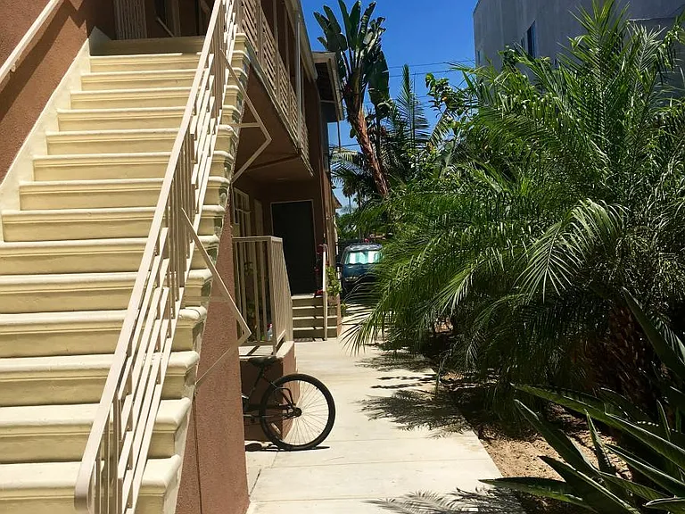 Tree-lined walkway