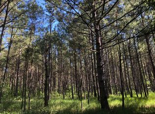 0 High School Rd, Leakesville, MS 39451