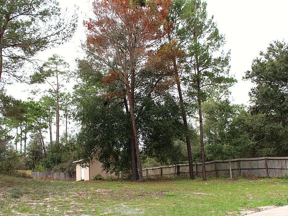 4th image of 583 Blue Springs Ct