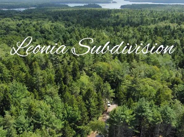 Lot #5 Leonia Road, Hancock, ME 04640