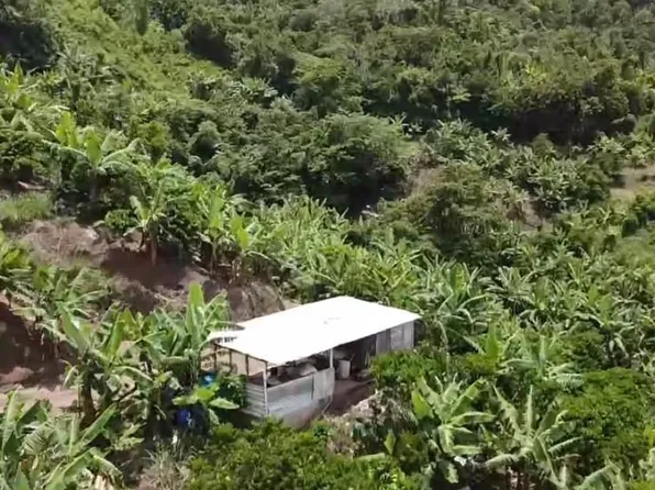 Bo Bartolo Castaner Calle Cirila Prairie Km #135-9.0, Lares, PR 00669