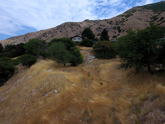 5th image of 1783 Spring Oaks Dr