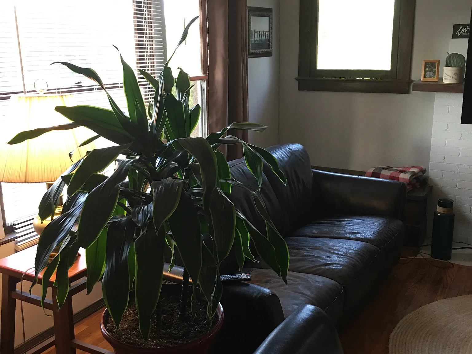 1 bed, 1075 sqft, $610 — Photo 3