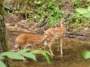 Jacobson Rd, Wellston, MI 49689