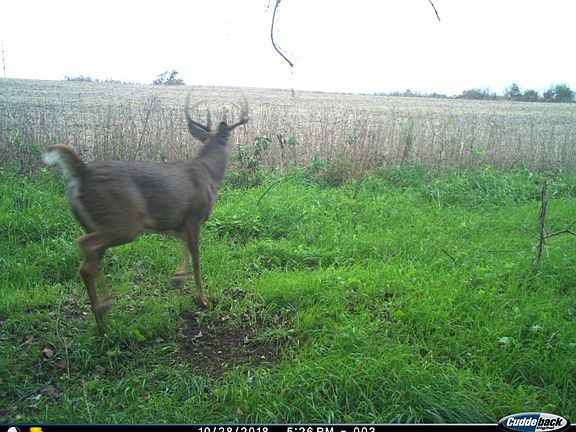 5th image of 3541 S Greensboro Pike