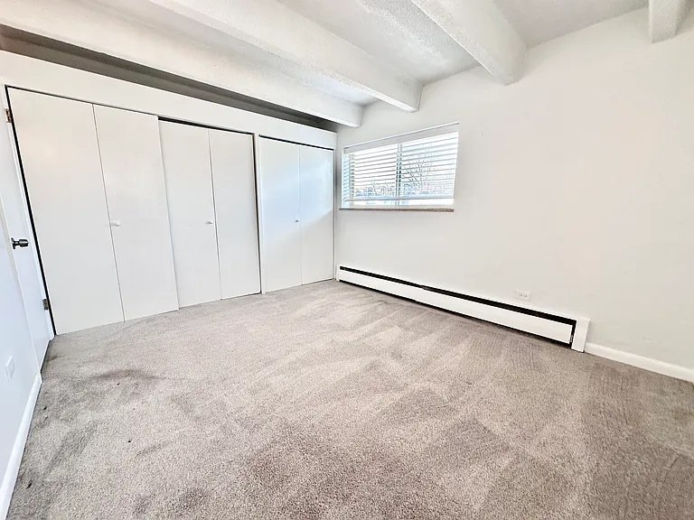 Bright and spacious carpeted bedroom with large closets, expansive window, and modern white trim. Bright and spacious carpeted bedroom with large closets, expansive window, and modern white trim.