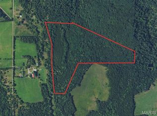 10272 Old Black River Rd, Potosi, MO 63664