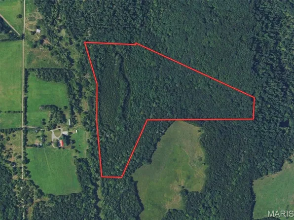 10272 Old Black River Rd, Potosi, MO 63664