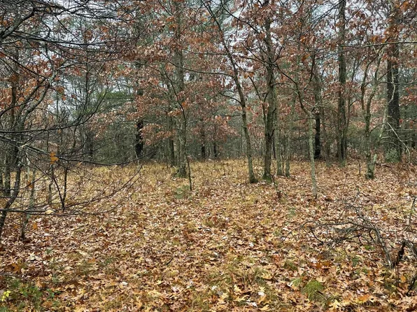 1055 Chicago Dr, Whitehall, MI 49461