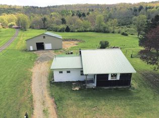 722 Blewer Rd, Newark Valley, NY 13811