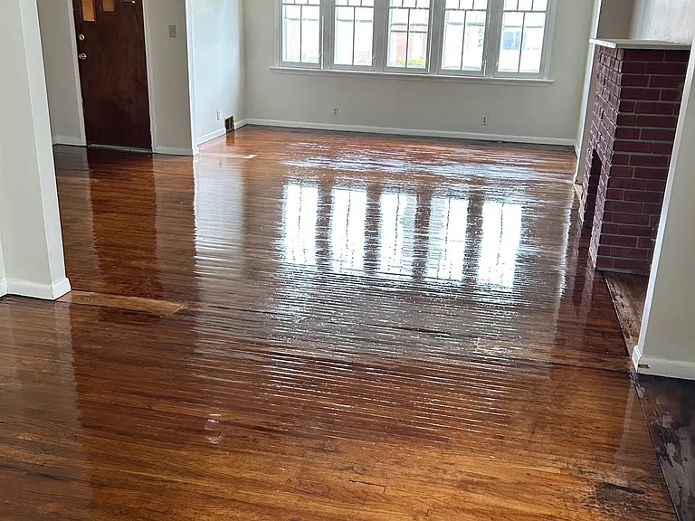 380 Colvin Ave #1 — Photo 2