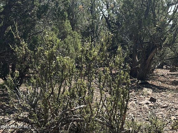 2nd image of 0 NW Nine Shooter Rd