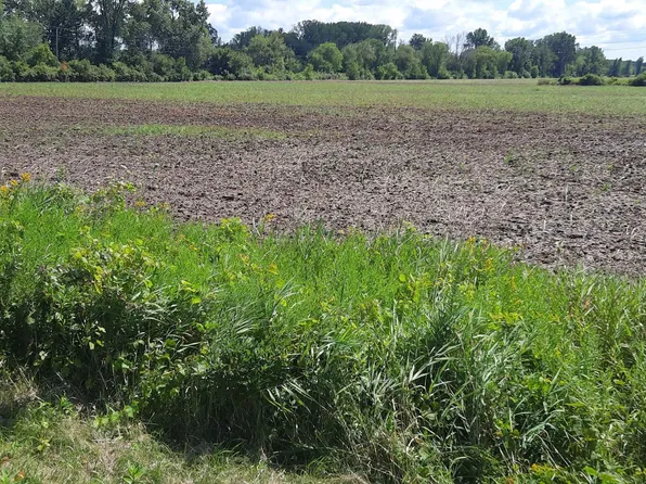 Spurr Rd, New London, WI 54961