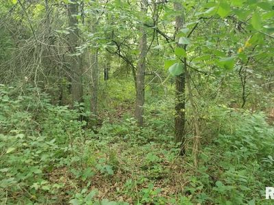 0 Metcalf Rd, Iuka, IL, 62849
