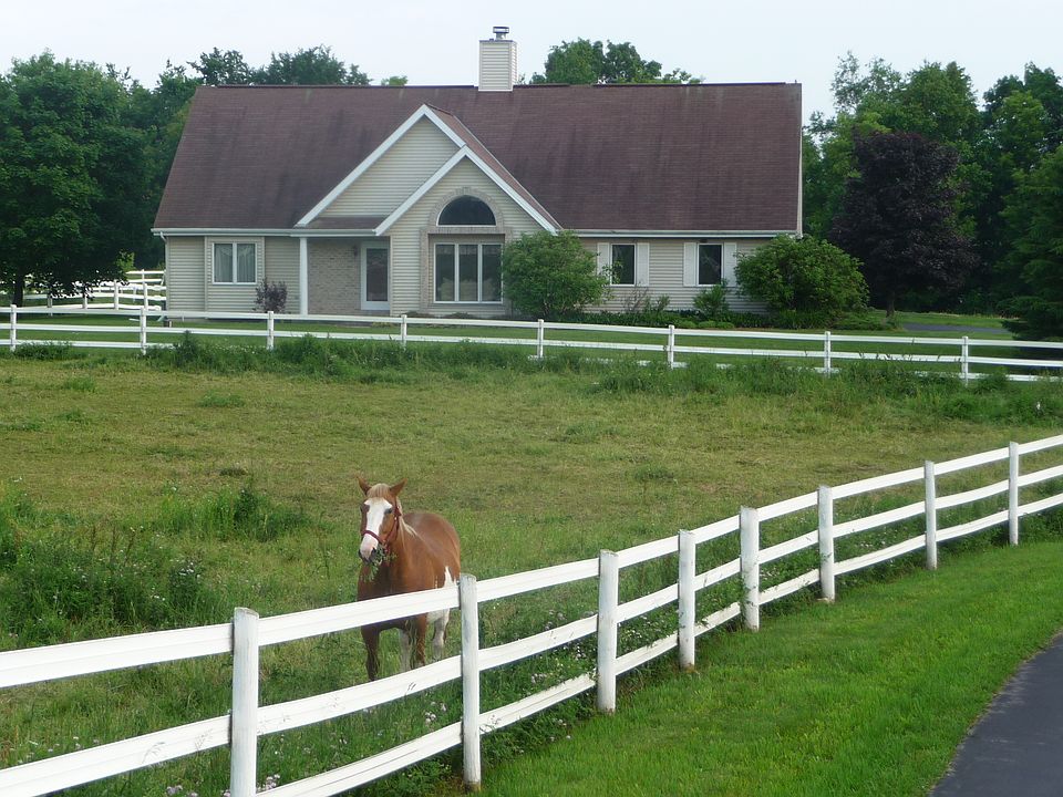 Five acres, peaceful