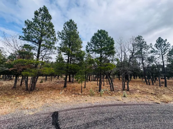 2793 Hummingbird Cir, Happy Jack, AZ 86024