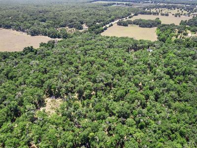 11426 S Pleasant Grove Rd, Floral City, FL, 34436