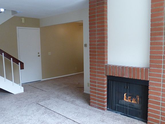 Gas Fire Place