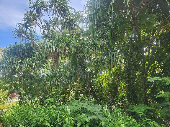 5th image of W Pohakupele Loop Lot 116