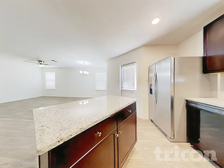15406 Shortwing — Photo 18