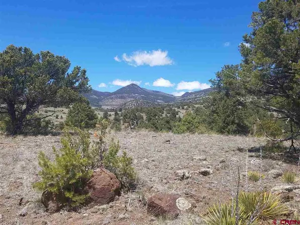 47 Silver Thread Circle, South Fork, CO 81154