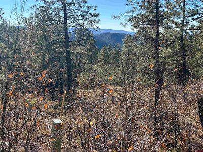490 Hilltop Drive, Bayfield, CO, 81122